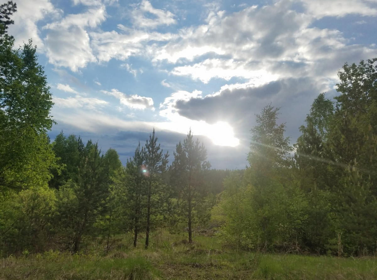 Фото ДИП Свердловской области.